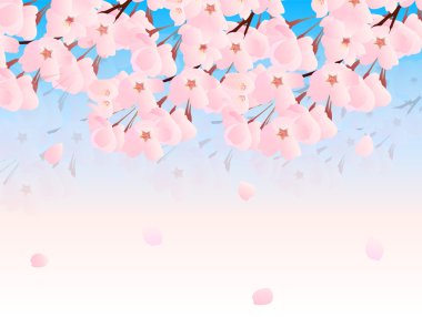 Kiraz çiçeği arkaplanı