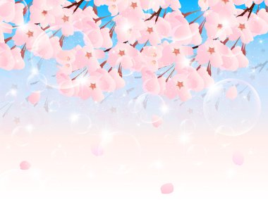 Kiraz çiçeği arkaplanı