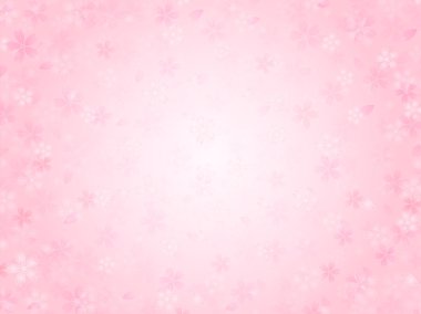 Kiraz çiçeği arkaplanı