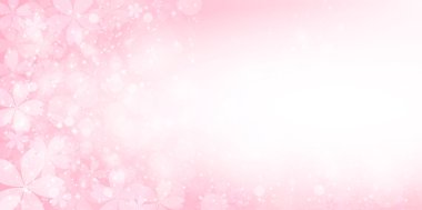 Kiraz çiçeği arkaplanı