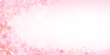 Kiraz çiçeği arkaplanı