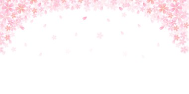 Kiraz çiçeği arkaplanı