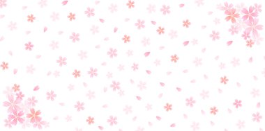 Kiraz çiçeği arkaplanı