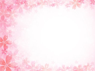 Kiraz çiçeği arkaplanı