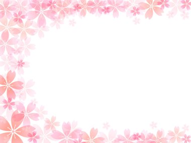 Kiraz çiçeği arkaplanı