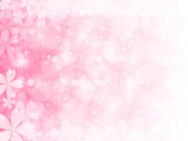 Kiraz çiçeği arkaplanı