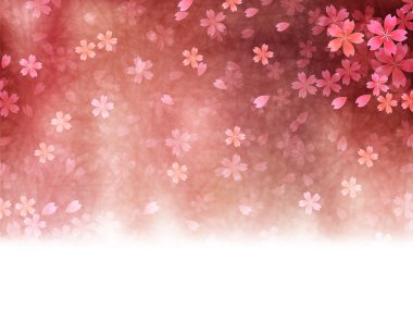 Kiraz çiçeği arkaplanı