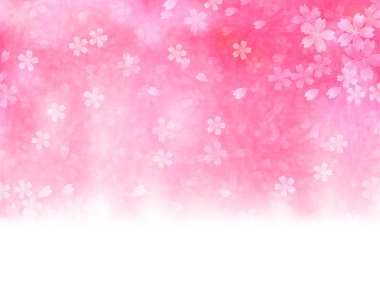 Kiraz çiçeği arkaplanı