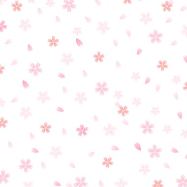 Kiraz çiçeği arkaplanı