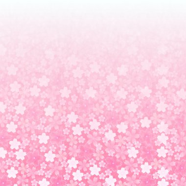 Kiraz çiçeği arkaplanı