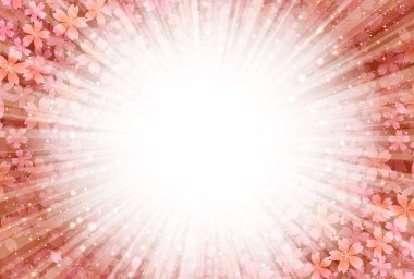 Kiraz çiçeği arkaplanı