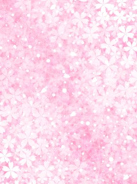 Kiraz çiçeği arkaplanı