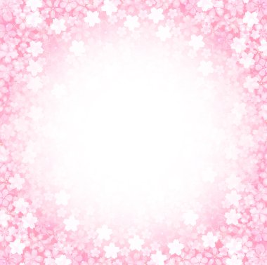 Kiraz çiçeği arkaplanı