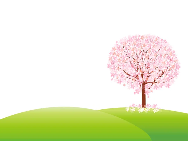 Цветочный фон вишни — стоковый вектор