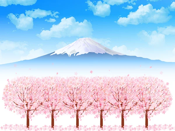 Cherry Fuji background — Stock Vector