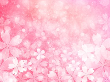 Kiraz çiçeği arkaplanı