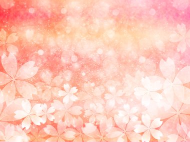 Kiraz çiçeği arkaplanı