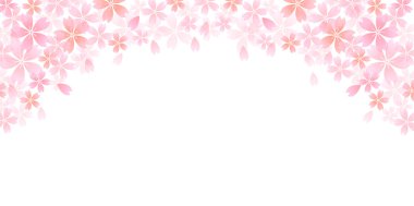 Kiraz çiçeği arkaplanı