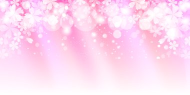 Kiraz çiçeği arkaplanı