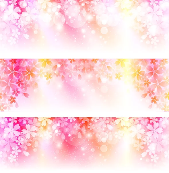 Cherry blossom background — Stock Vector