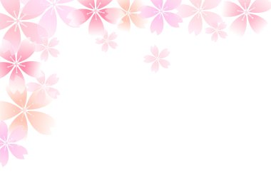 Kiraz çiçeği arkaplanı