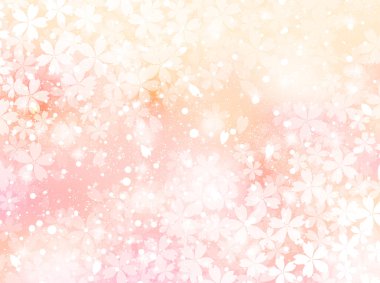 Kiraz çiçeği arkaplanı