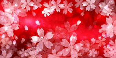 Kiraz çiçeği arkaplanı