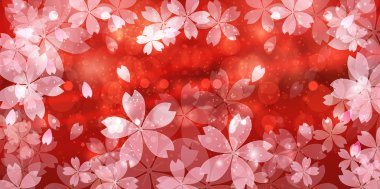 Kiraz çiçeği arkaplanı