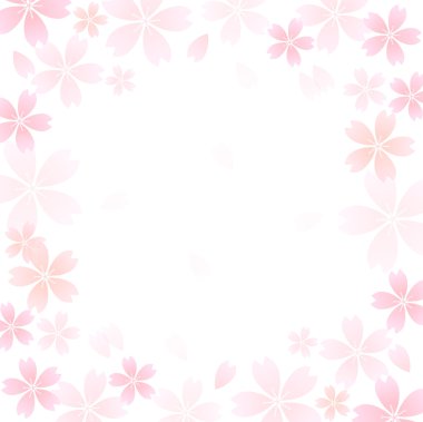 Kiraz çiçeği arkaplanı