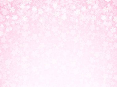 Kiraz çiçeği arkaplanı