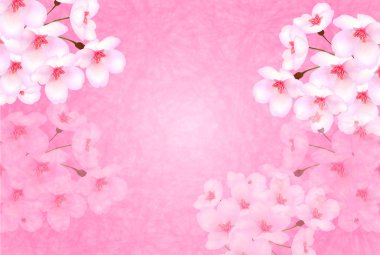 Kiraz çiçeği arkaplanı