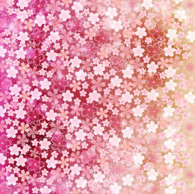 Kiraz çiçeği arkaplanı