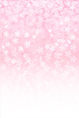 Kiraz çiçeği arkaplanı