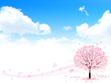 Kiraz çiçeği arkaplanı