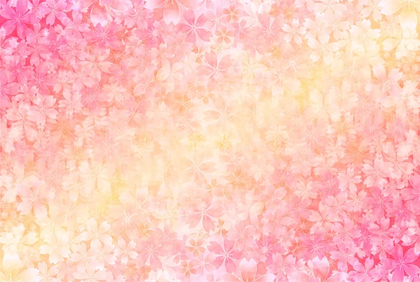 Kiraz çiçeği arkaplanı