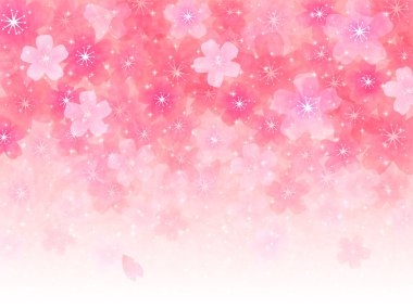 Kiraz çiçeği arkaplanı