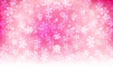 Kiraz çiçeği arkaplanı