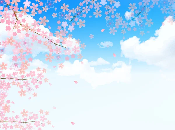 桜の背景 — ストックベクタ