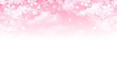 Kiraz çiçeği arkaplanı