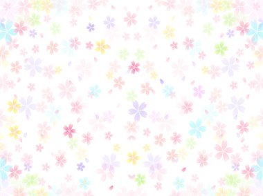 Kiraz çiçeği arkaplanı