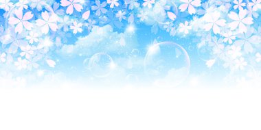 Kiraz çiçeği arkaplanı