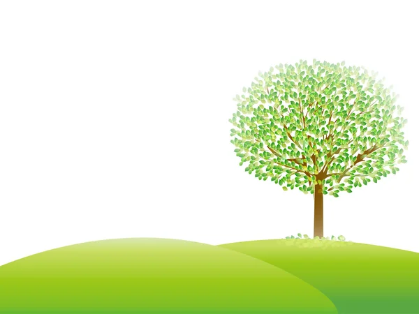Folha árvore verde fresco — Vetor de Stock