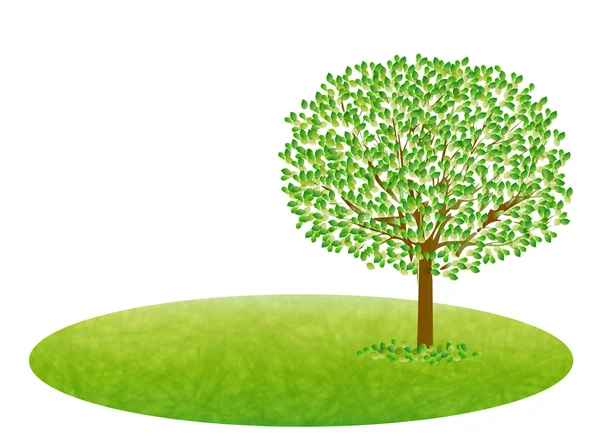 Árbol de hojas verde fresco — Vector de stock