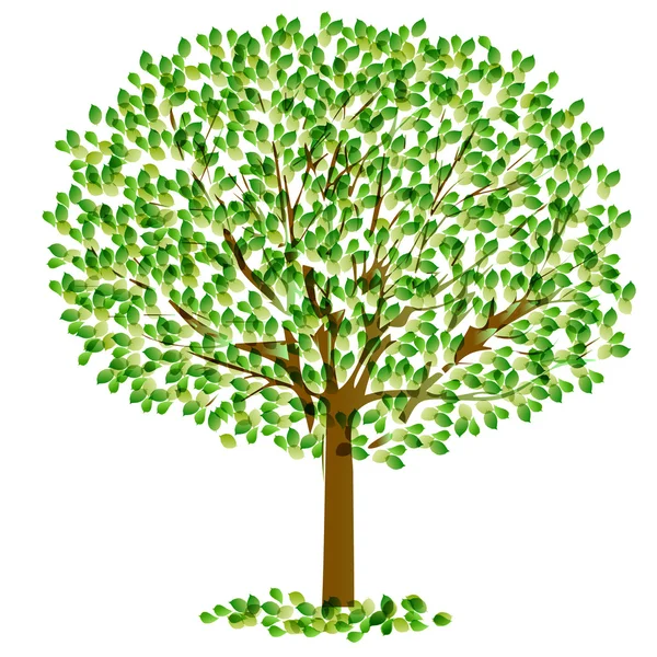 Leaf tree fresh green — Stock Vector