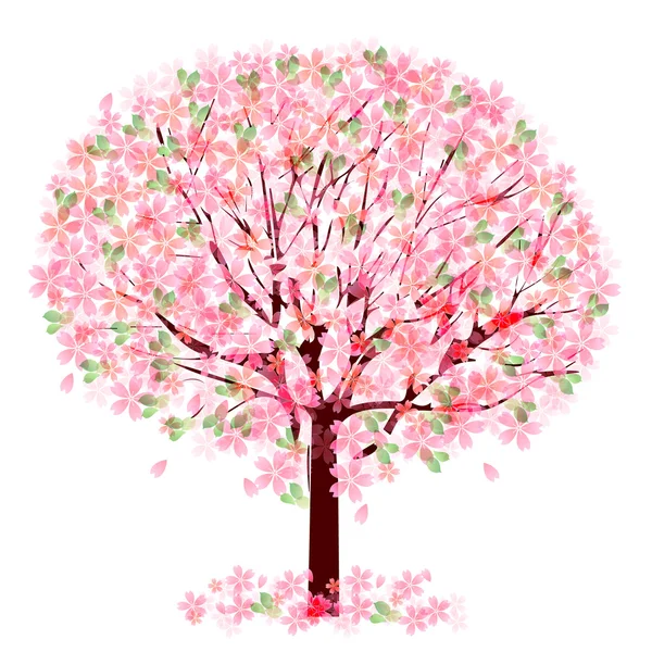 Wiśniowe drzewo kwitnące — Wektor stockowy