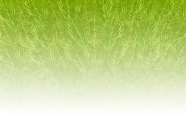 Świeży tło zielony liść — Wektor stockowy