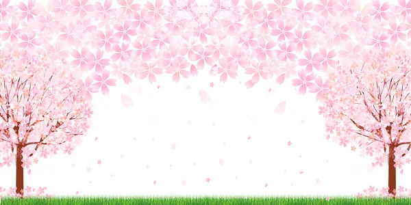 Fond de fleur de cerisier — Image vectorielle