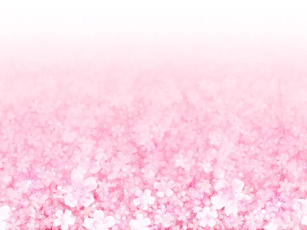 Cherry blossom background — Stock Vector