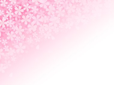 Kiraz çiçeği arkaplanı