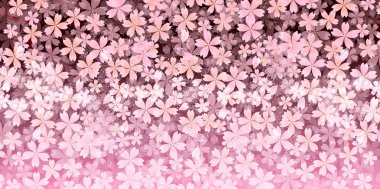 Kiraz çiçeği arkaplanı